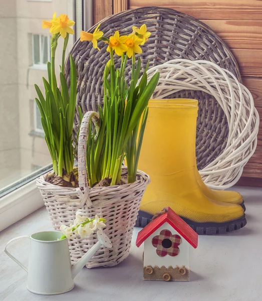 Yellow daffodils in a basket — Stock Photo, Image