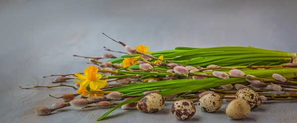 Gula påskliljor och willow kvistar — Stockfoto