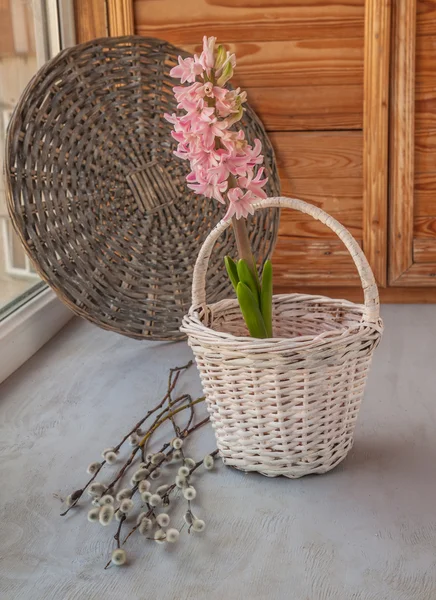 Spring still life — Stock Photo, Image