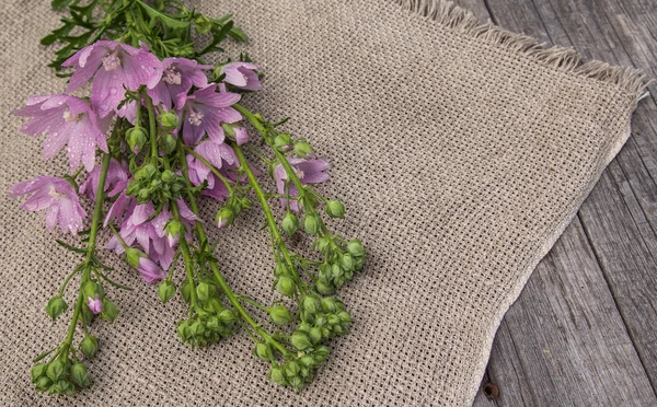 Natura morta rustica con un bouquet di malva rosa — Foto Stock