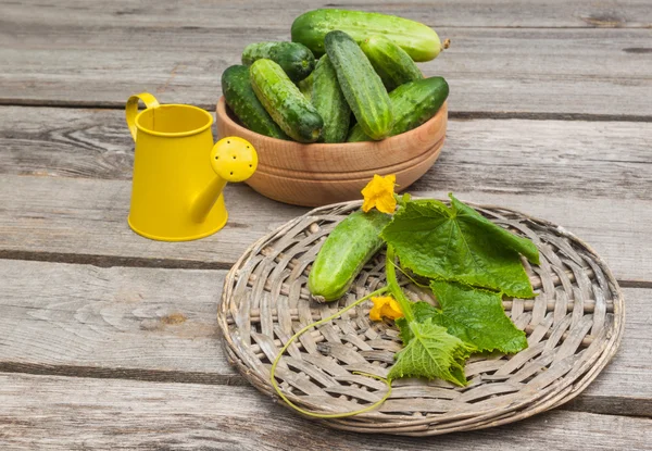 Frische Gurken in einer Holzschale und gelbe Gießkanne — Stockfoto