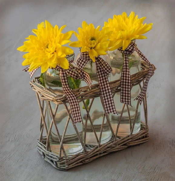 Yellow chrysanthemums — Stock Photo, Image