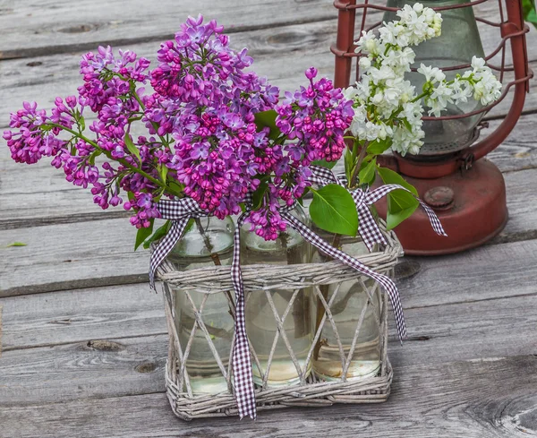 Lila-blau-lila und Gartenscheren — Stockfoto