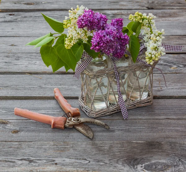 Lila a zahradnické nůžky — Stock fotografie