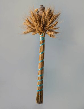 Bir buket buğday ve haşhaş kafası. Gri arka plandaki Maccabees şehitlerinin anısına geleneksel bir gün.