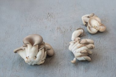 Mutfaktaki gri masada bir sürü istiridye mantarı.