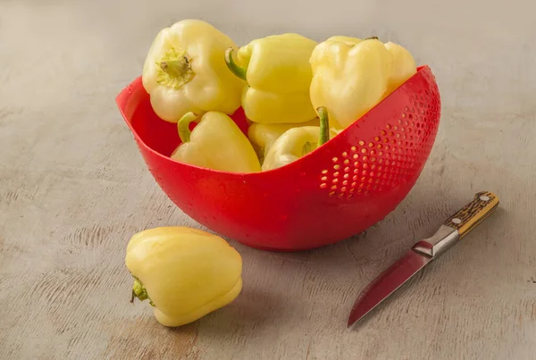 Vegetable Pepper Bell Pepper Red Bowl Washing Vegetables Gray Background — Stock Photo, Image