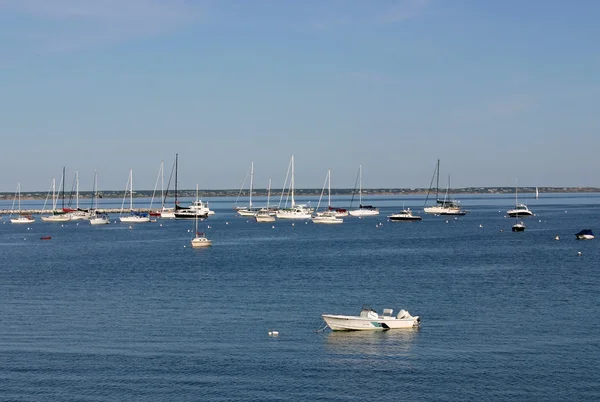 Een uitzicht op zeilboten in een jachthaven in Provincetown — Stockfoto