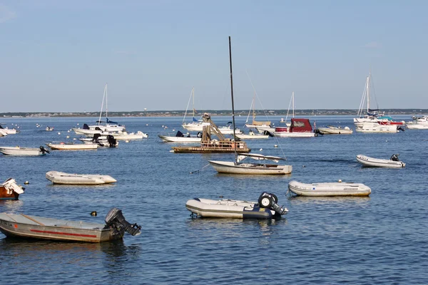 Segelbåtar — Stockfoto