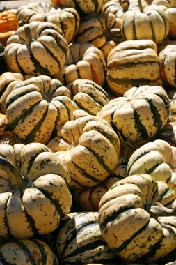 yeşil ve beyaz su kabakları