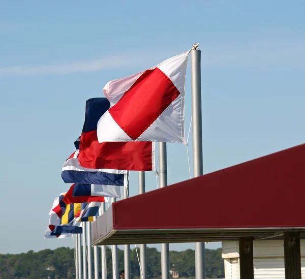 Flaggor vajande — Stockfoto