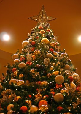 Noel ağacı 2