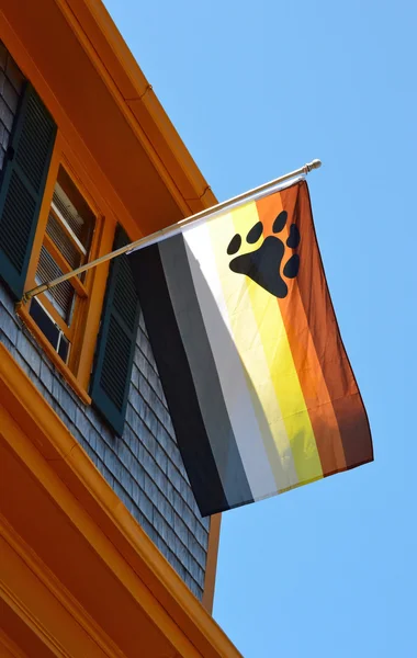 Bear Flag — Stock Photo, Image