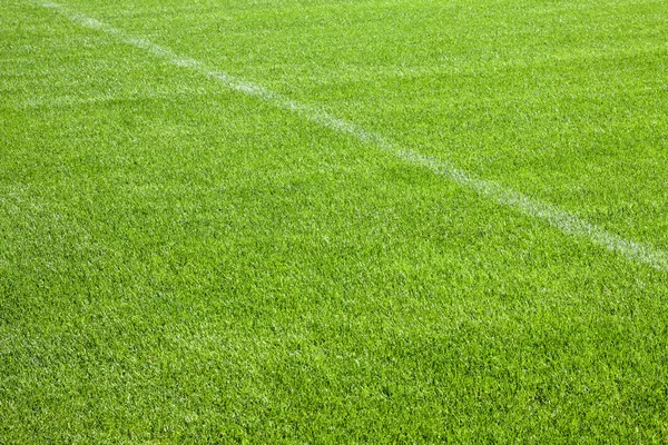 Fußball Gras Hintergrund — Stockfoto