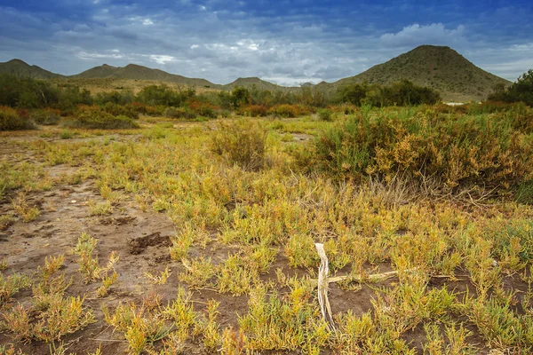 Typische spanische Landschaft, Spanien, Andalusien, Almeria — Stockfoto