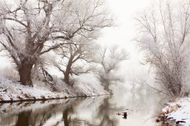 Kış gölü manzarası