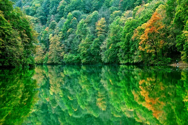 Orman Gölü sabah Güz