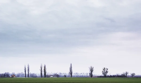 Paisagem de campo — Fotografia de Stock