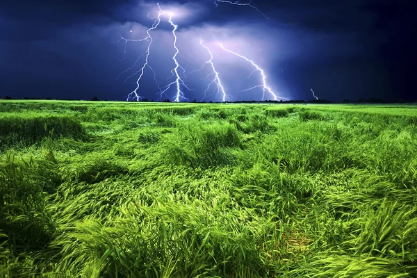 Storm över vete fält — Stockfoto