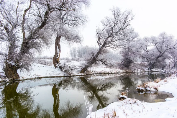 Kış gölü manzarası