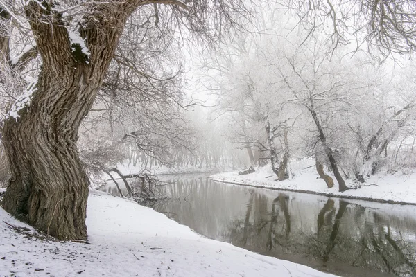 Paysage hivernal lac — Photo