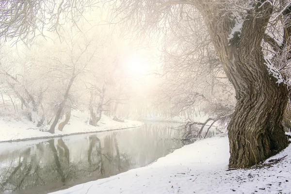 Kış gölü manzarası — Stok fotoğraf