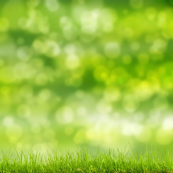 Зеленая трава и боке огни — стоковое фото
