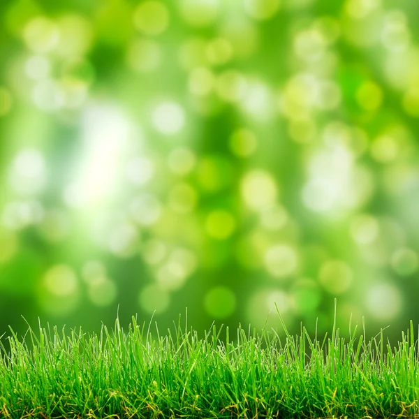 Groene gras en bokeh lichten — Stockfoto