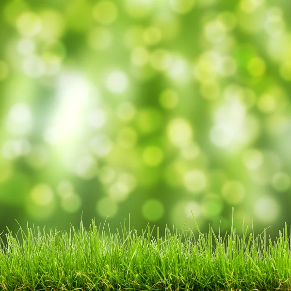 Yeşil çimen ve bokeh ışıklar — Stok fotoğraf