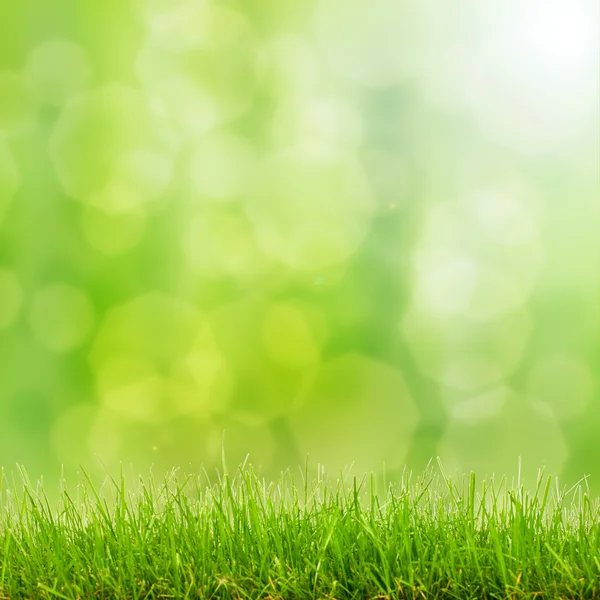 Groene gras en bokeh lichten — Stockfoto