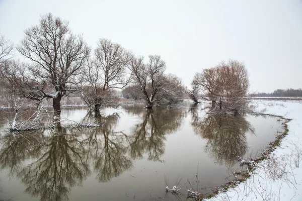 Paysage hivernal rivière Zagyva en Hongrie — Photo