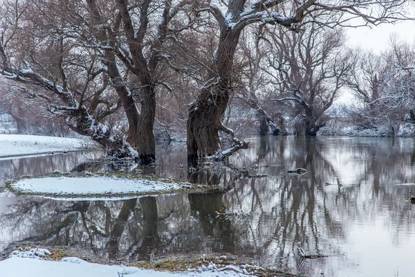 Zimowy krajobraz Zagyva na Węgrzech — Zdjęcie stockowe