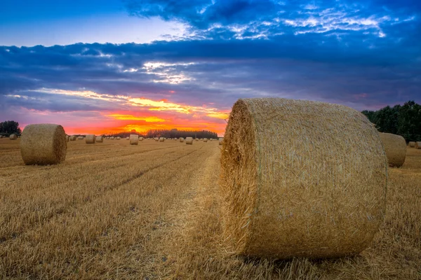 ハンガリー - この写真で干し草の俵とフィールドに一日の終わりを作る — ストック写真