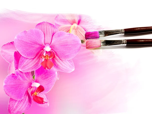 Kunstenaar borstel schilderij beeld van prachtige orchid — Stockfoto