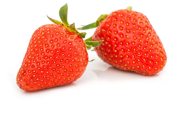 草莓莓果 — 图库照片