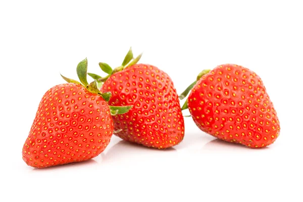 Erdbeeren — Stockfoto