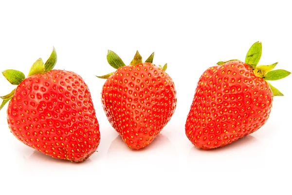 Erdbeeren — Stockfoto