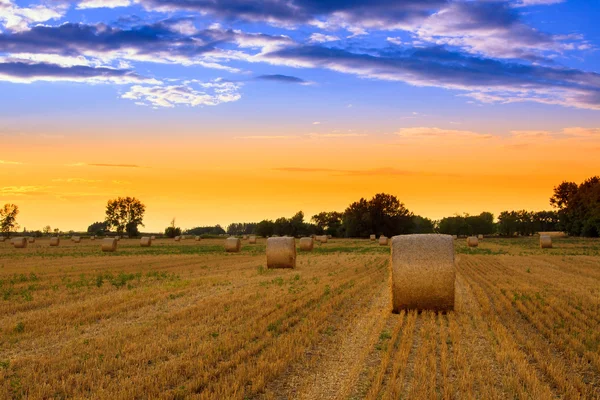 Coucher de soleil sur le champ de balles de foin — Photo