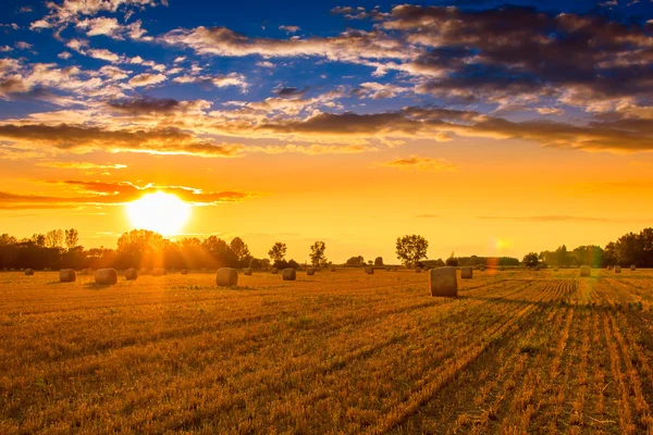 Coucher de soleil sur le champ de balles de foin — Photo