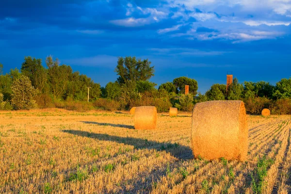 Pôr do sol sobre o campo de fardos de feno — Fotografia de Stock