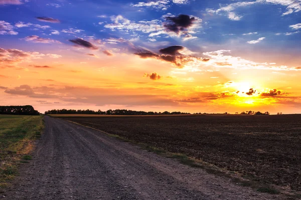 Zonsondergang en landelijke weg. — Stockfoto