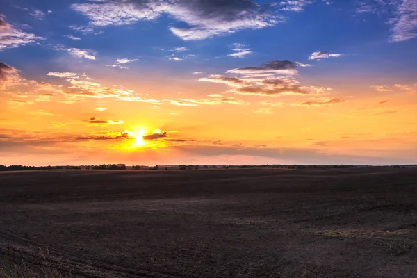 Sunset field — Stock Photo, Image