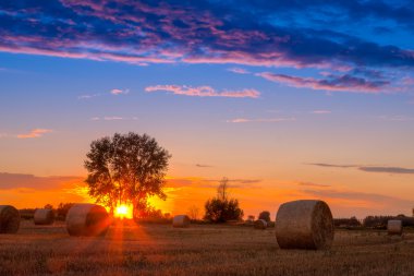 Sunset field, tree and hay bale clipart