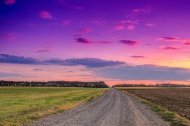 yol çayır ve güzel günbatımı