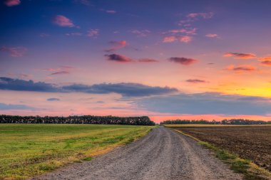 yol çayır ve güzel günbatımı
