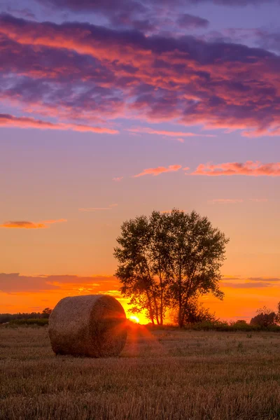 Západ slunce pole, strom a seno bale — Stock fotografie
