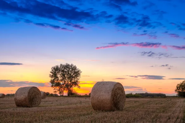 Champ de coucher de soleil, balle d'arbre et de foin — Photo