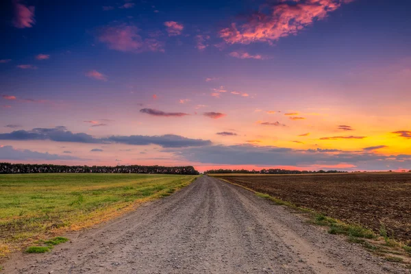 Road in meadows and beautiful sunset — Stock Photo, Image