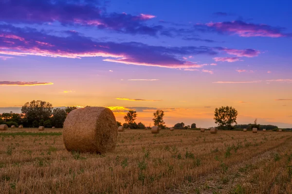 Sunset field, tree and hay bale — Stock Photo, Image