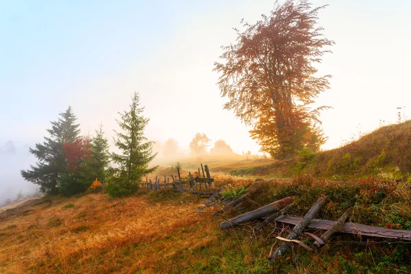 Berglandskap med dimma i Transsylvanien berg — Stockfoto